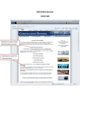 sosia online services